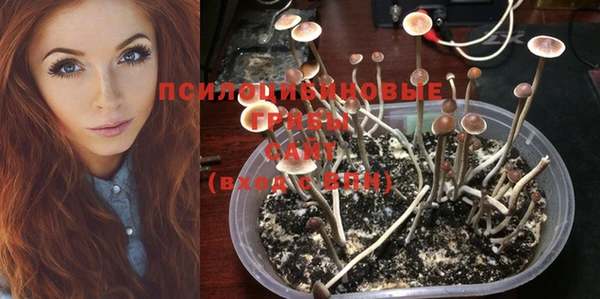 соль курить ск Семёнов
